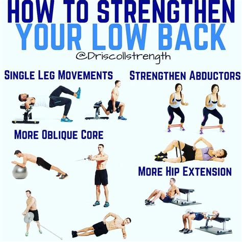 Exercises For Lower Back Muscles