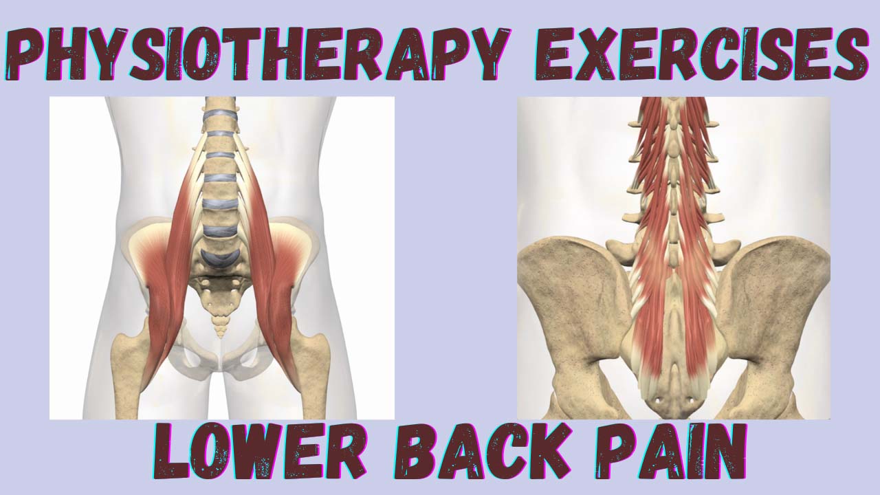 Exercises For Lower Back Pain Relief North West Physiotherapy