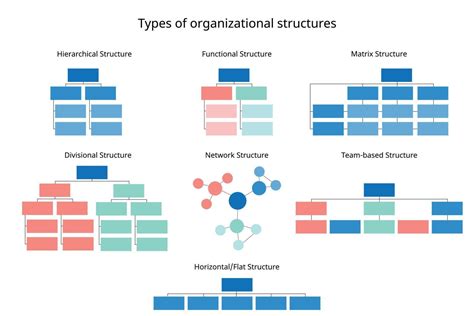 Explain The Functions Of Different Organisational Structures