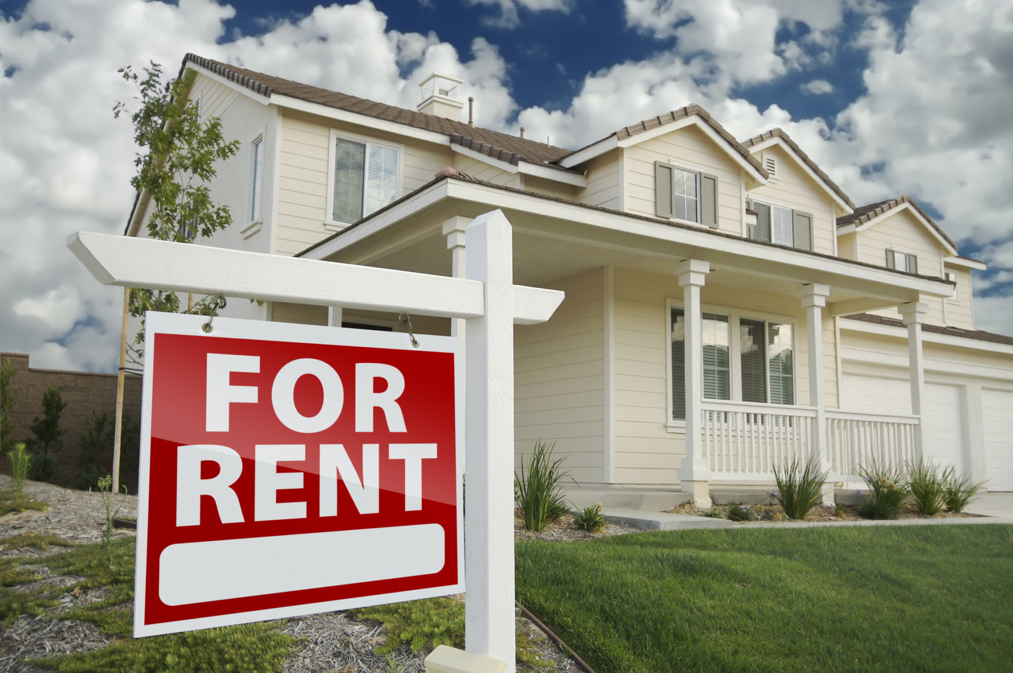 Finding A Place To Rent Tips And Ideas Rhino Property Management