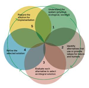 Five Steps Approach Ecoshape