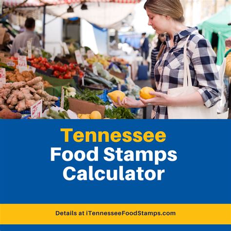 Food Stamps Calculator How Much Will I Receive Food Stamps Now