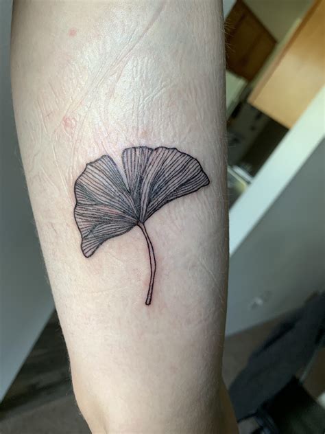 Ginkgo Leaf By Shelley Of Lark Tattoo Albany Ny R Tattoos