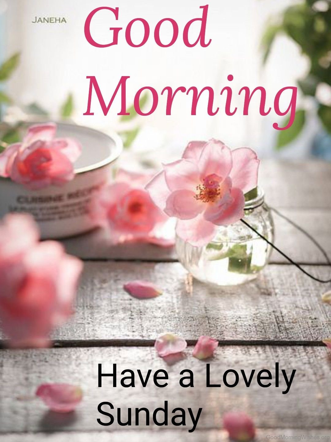 Good Morning Wishes On Sunday Pictures Images Page 14