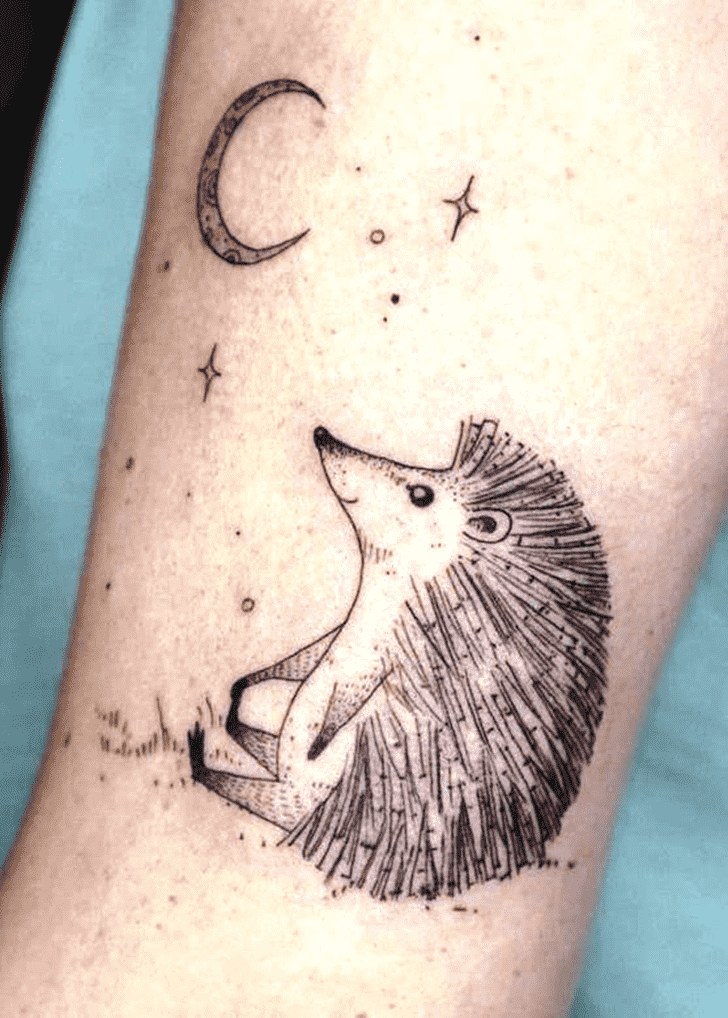 Hedgehog Tattoo Design Images Hedgehog Ink Design Ideas Hedgehog