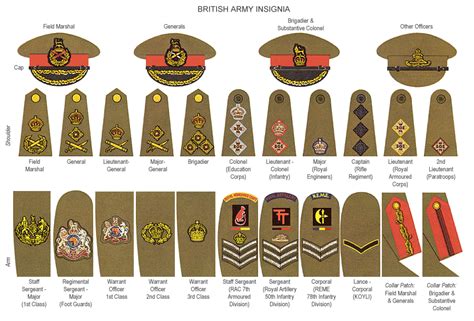 Her Majesty S Services A Brief Guide To British Armed Forces Ranks