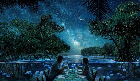 Hidden Worlds Immersive Oceanic Dining Experience Now Live In Wynwood Profilemiami South