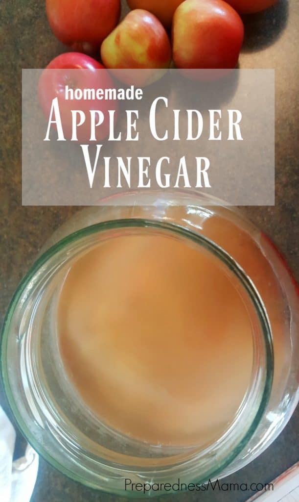 Homemade Apple Cider Vinegar With The Mother Homemade Apple Cider