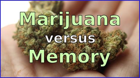 How Does Marijuana Affect Memory Youtube