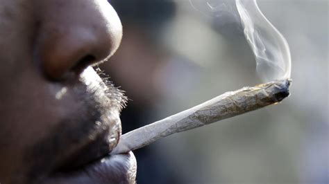 How Does Smoking Marijuana Affect Sperm Businessday Ng