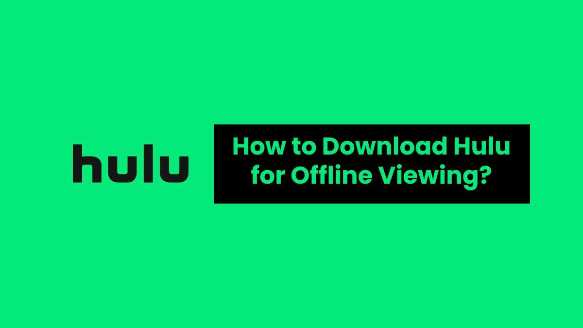 How To Download Videos From Hulu For Offline Viewing