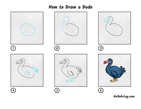 How To Draw A Dodo Bird Easy Drawing Step By Step Howtodoes