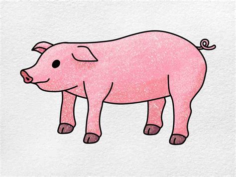 How To Draw A Pig Helloartsy