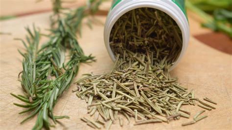 How To Grow And Dry Rosemary