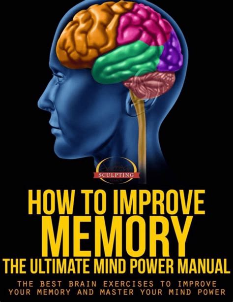 How To Improve Memory The Ultimate Mind Power Manual The Best Brain