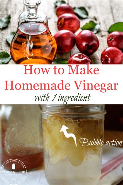 How To Make Homemade Fruit Vinegar Melissa K Norris