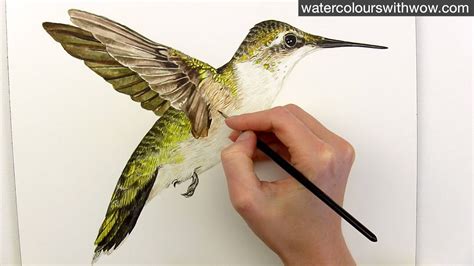 How To Paint Realistic Hummingbird Feathers In Watercolor By Anna Mason Youtube