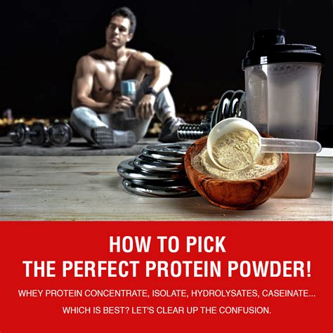 How To Pick The Perfect Protein Powder Nutriride