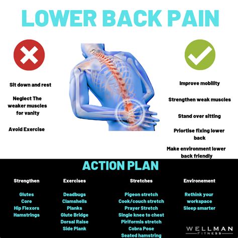 How To Prevent Lower Back Pain Newbrave16