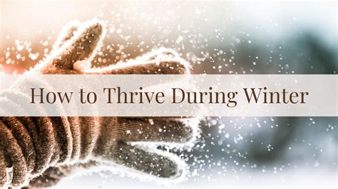 How To Thrive During Winter Lulu Bea S