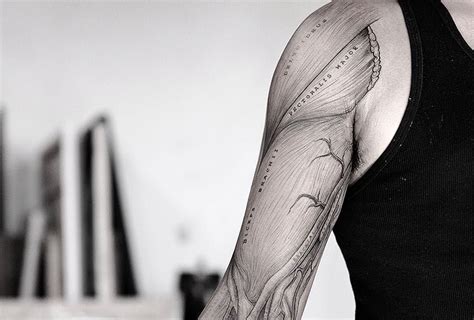 Human Anatomy Tattoo