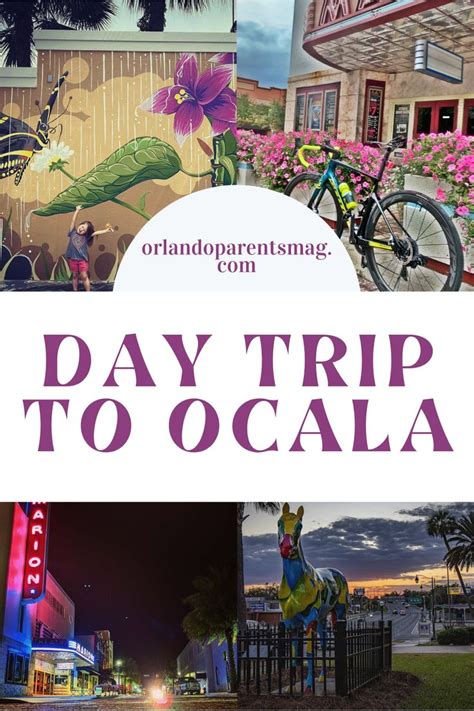 If You Re Looking For Things To Do In Ocala On A Day Trip With Kids