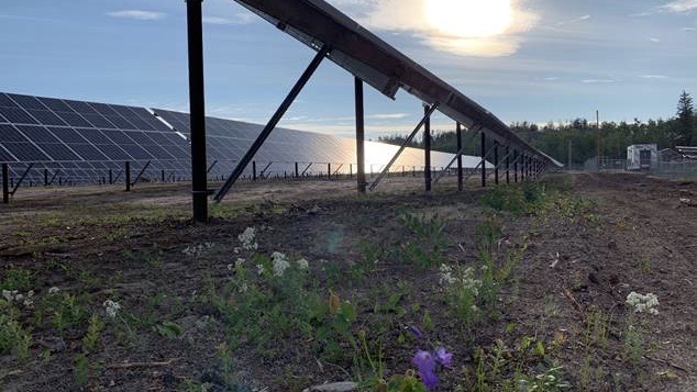 Indigenous Groups Celebrate New Solar Farm In Fort Chipewyan