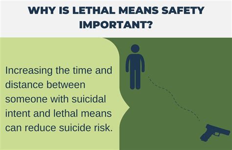 Lethal Means Safety Evidence Mirecc Coe