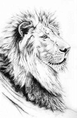 Lion Tattoo Symbolism