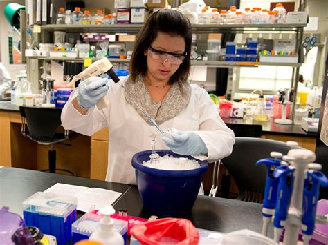 Master In Biology Utsa Graduate School