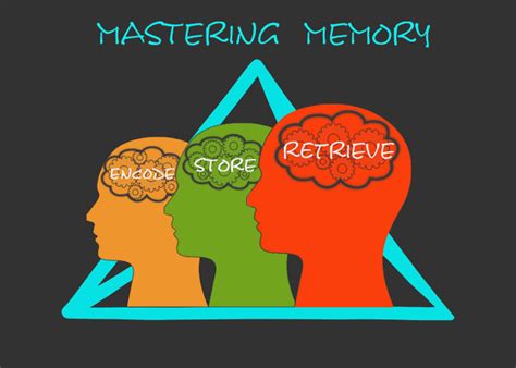 Memory Strategies Ways To Achieve Academic Success