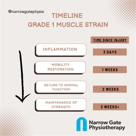 Muscle Strain Recovery Made Easy The 4 Stage Rehab Process With Expert