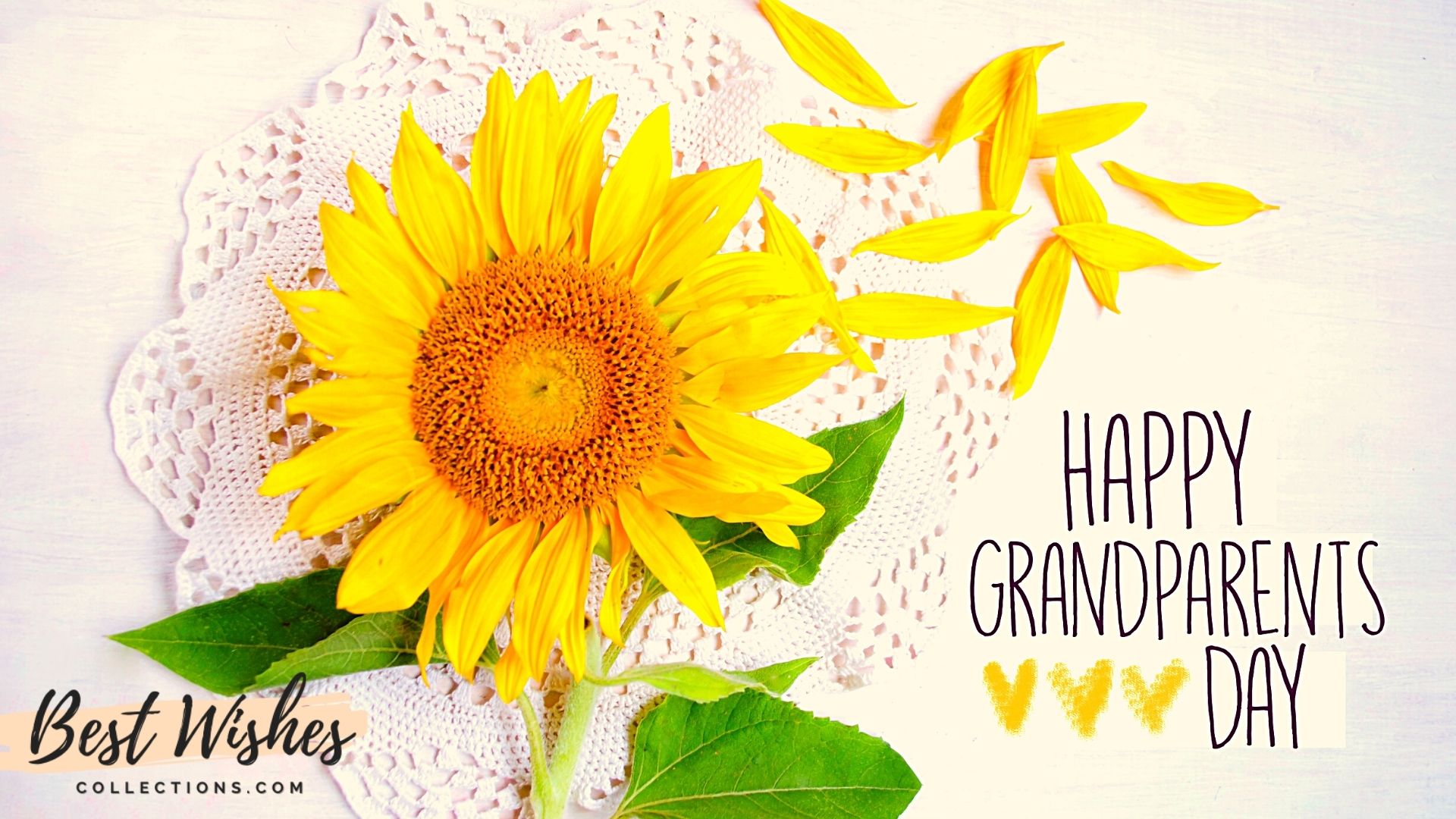 National Grandparents Day Wishes Quotes Messages Images