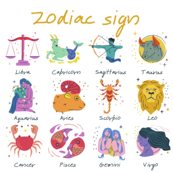 November 11 Zodiac Sign Explained So Syncd