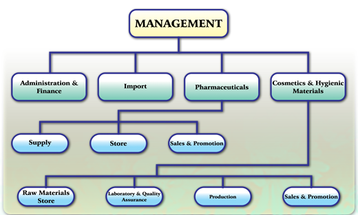 Organizational Structure Masa Trading Plc