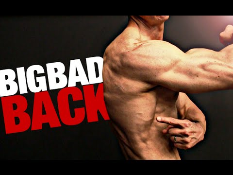 Perfect Back Workout From Athlean X Back Workout Workout Strength