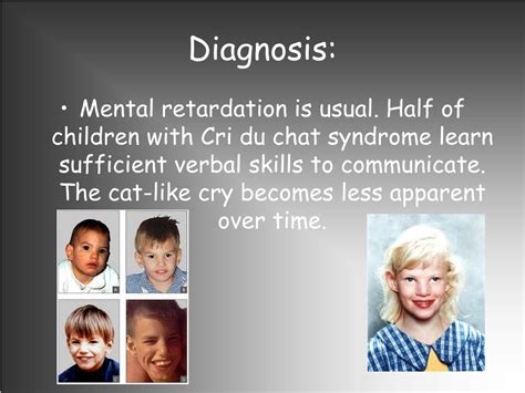 Ppt Cri Du Chat Cry Of The Cat Powerpoint Presentation Free