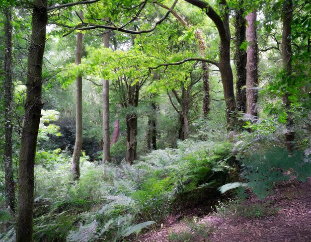 Premium Ai Image Ancient Woodland Beauty Secrets Of The Forest Unveiled