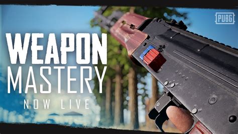 Pubg Weapon Mastery Now Live Youtube