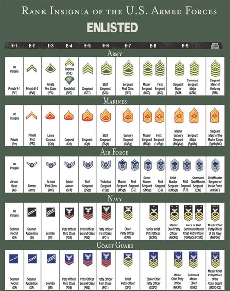 Rank Insignia Of The U S Armed Forces N Military Ranks Army Ranks