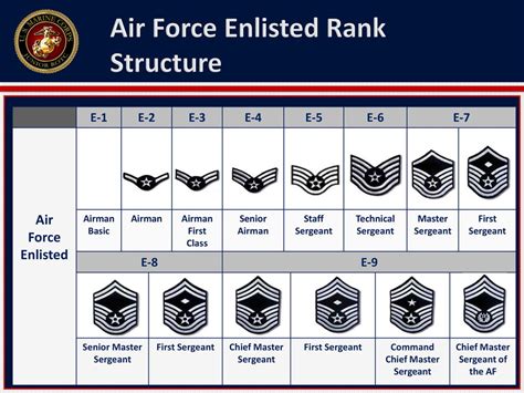 Rank Of The Air Force - IMMUNO ONCOLOGY