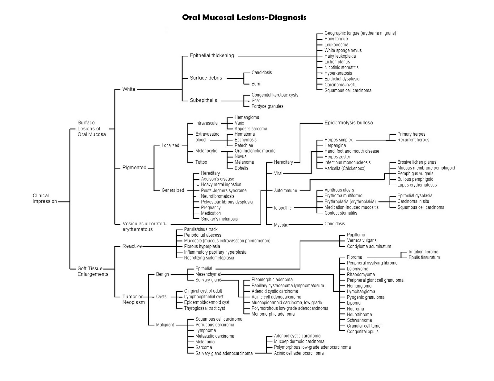 Red Lesions Of The Oral Mucosa Differential Diagnosis Clinical