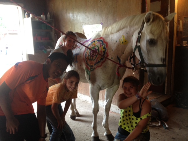 Riding Lessons Woodstock Acres Riding School Located In Woodstock