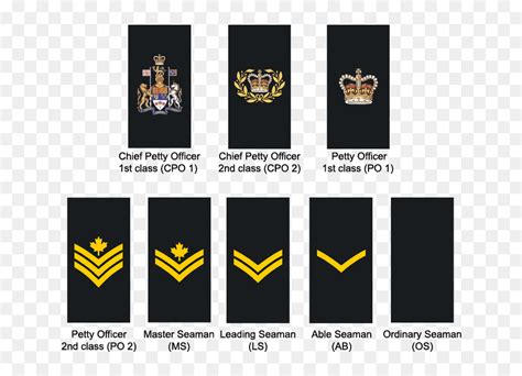 Royal Navy Ratings Ranks Hd Png Download Vhv