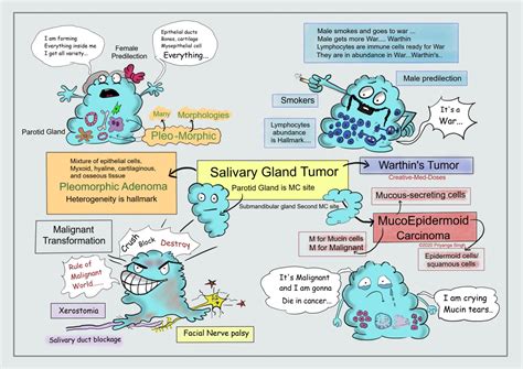 Salivary Gland Tumors