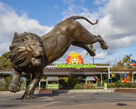 San Diego Zoo Ebt Discount 2024 Velma Jeanette