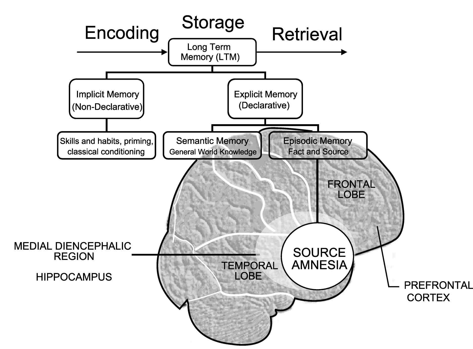 Source Amnesia Psychology Wiki