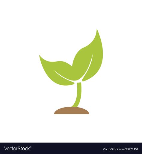 Sprout Icon Design Template Royalty Free Vector Image