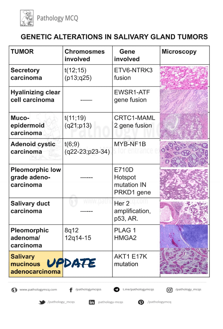 Summary Of Genetic Alterations In Salivary Gland Tumors R Pathology