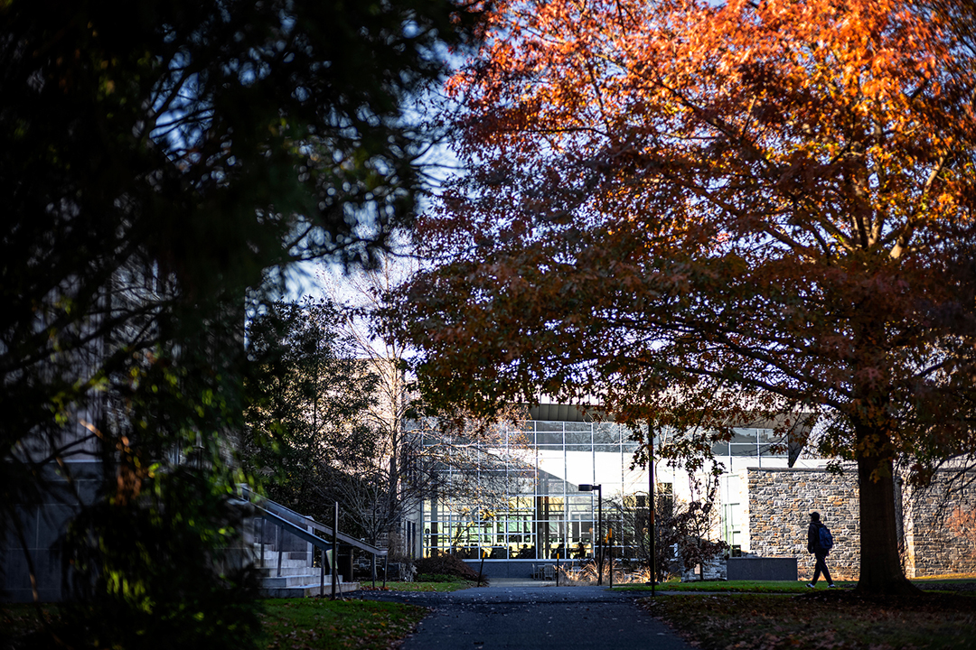 Swarthmore Courses Fall 2025 Victoria Green